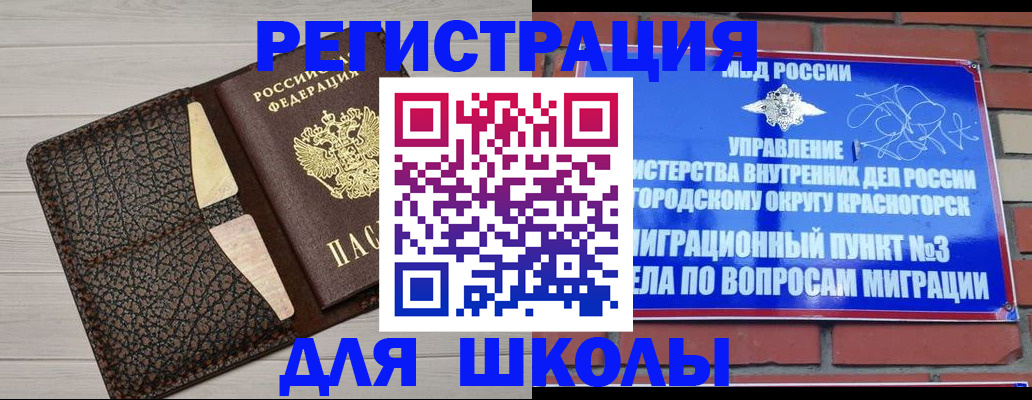 прописка в Димитровграде